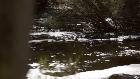 Pan over fast flowing stream in flood Stock-Footage 160092802