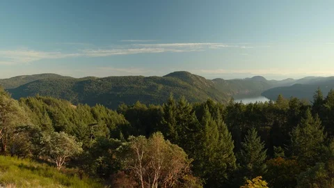 Pan over forest and ocean from Vancouver Island mountain Video stock 128096789