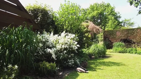 Pan over the garden in the spring Stock Footage 96190522