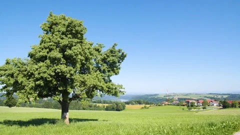 A pan over a lanscape in Upper Austria Stock Footage 157852165