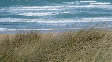 Pan over Marram Grass with ocean in background Stock Footage 37164397