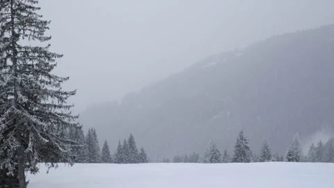 Pan over misty mountainside during heavy snowfall Stock Footage 231549640
