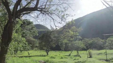 Pan Over Mountains and Trees with Sun Flare at Serra do Cipo, Brazil 스톡 동영상 71478342