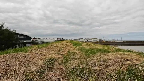 Pan over the Oosterschelde from the dike Stock Footage 295115267