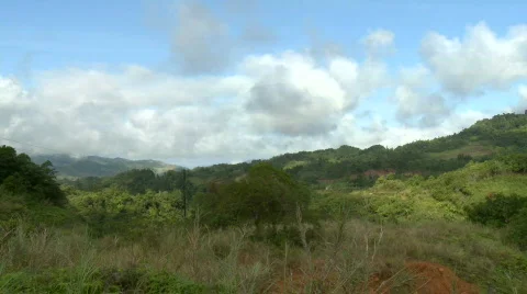 Pan over a rain forest valley Stock Footage 610310