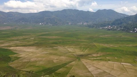 Pan over the spiderweb rice terraces, Flores, Indonesia Stock Footage 86231806