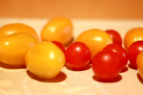 Pan over tiny tomatoes  ntsc 스톡 동영상 594926