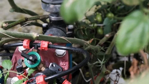 Pan over watering system Stock Footage 288336338