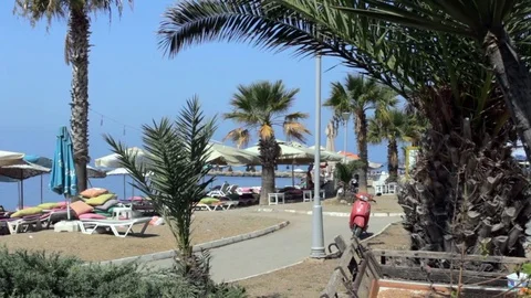 Pan from palm trees, sun beds and umbrellas on beach front.s Stock Footage 85062945