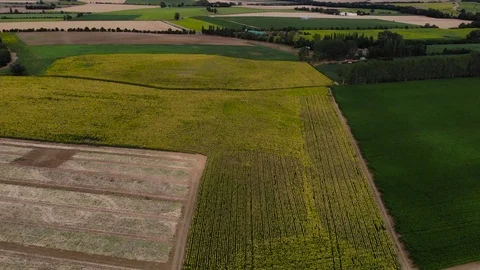 PAN PAN AEROFIELDS 6 (CAMPOS) Video stock 127248139