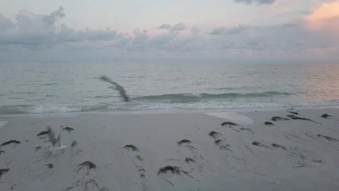 Pan of Pass a Grille Beach at St. Pete, Beach, Florida. Stock Footage 250114209