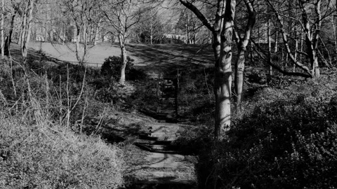 Pan up from path to reveal houses Stock Footage 171800853