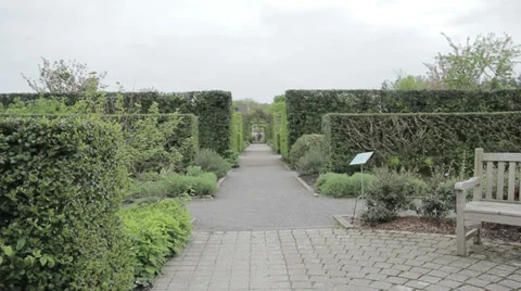 Pan of posh garden Stock Footage 38845037