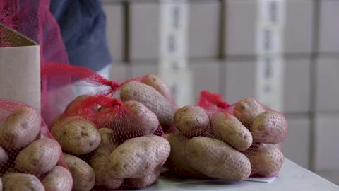 Pan from potato sacks on a table to a volunteer worker bagging potatoes Video stock 130996063