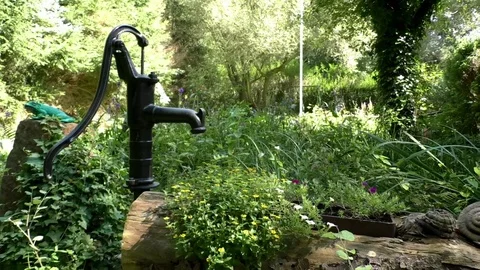 Pan: Pumping well in a garden, tree trunk with flowers, snail sculpture, frog Stock Footage 79494530