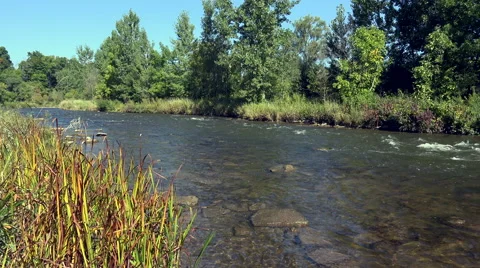 Pan R to L up the River Stock Footage 42019990