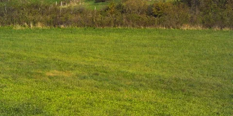 Pan up to Red barn on a farm Stock Footage 103783193