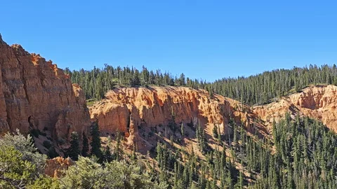 Pan-Red rock formation line canyon rim-Pine forest-Blue sky Stock Footage 247333823