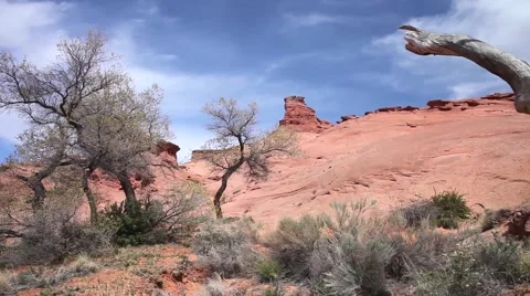Pan red rock formations with blue sky &amp; white clouds to dead tree Stock Footage 41453704