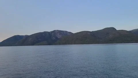 Pan of remote forest and ocean on a calm day Video stock 167295478