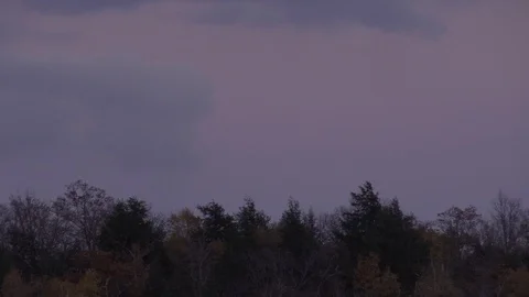 Pan to reveal full moon Stock-Footage 100137942