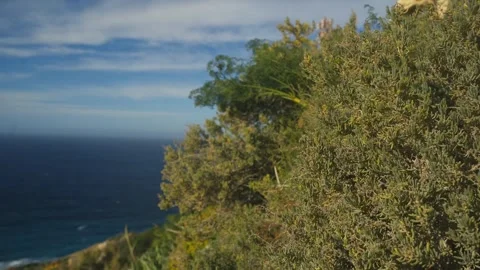 Pan reveal of limestone rocks and windy sea coastline in Malta, 4K Stock Footage 342584849