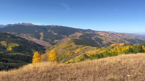 Pan right across mountain range with dark evergreens and gold aspen trees Stock Footage 273176514