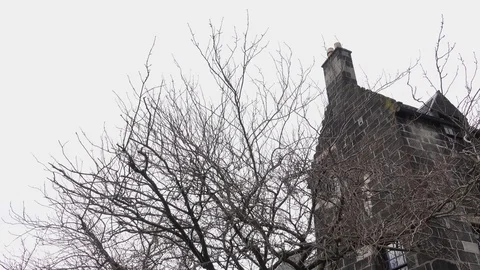 Pan right from an adjacent building to the square tower of Paisley Abbey. Vídeos de archivo 98834320