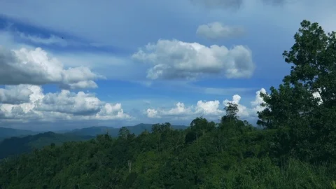 Pan right aerial view of dense rainforest jungle with blue and cloudy skies. Stock Footage 122305974