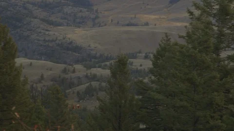 Pan Right Alpine Mountain Valley Yellowstone National Park Stock-Footage 122224024