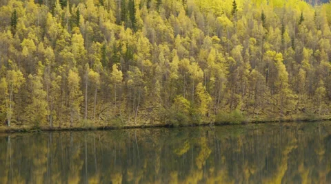 Pan Right Autumn Trees Reflected in Calm Lake Stock Footage 38089848