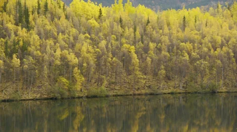 Pan Right Autumn Trees Reflected in Calm Lake 2 Stock Footage 38090673