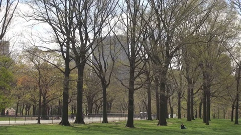 Pan right Central Park in downtown New York City people relax enjoy USA panorama Stock Footage 70345238