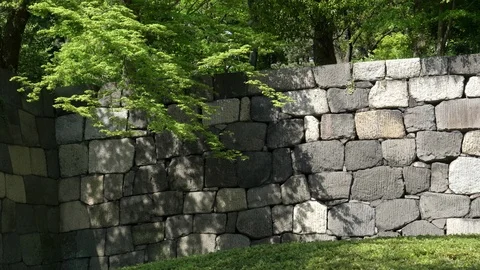 Pan right clip of an ancient stone wall at the imperial palace in tokyo Stock Footage 89309352