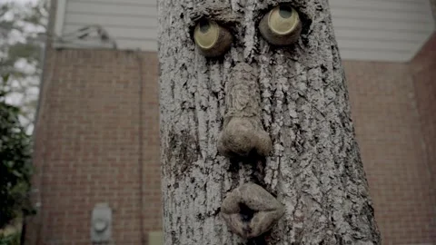 Pan right close up slow motion face on tree Atlanta Georgia 4k Stock Footage 260424182