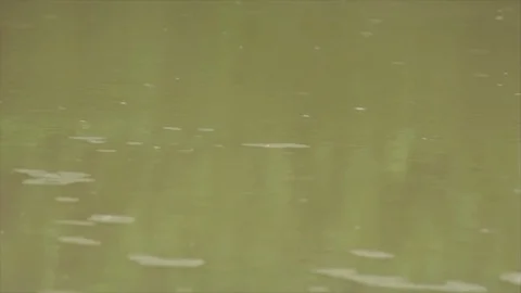 Pan right CU rain falling in puddle in road. Stock Footage 86757519