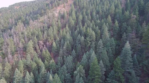 Pan right Down tilt waterfall reveal 스톡 동영상 84955662