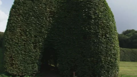 Pan (to right) entrance of a beech tree tunnel or berceau Stock Footage 219623146