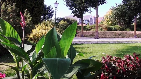 Pan to the right in flowerpark Stock Footage 120054978