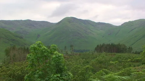 Pan right on forest in the highlands Stock Footage 39990169
