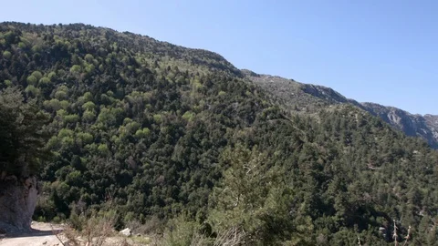 Pan right on forests and mountains at Lassa, Mount Lebanon Stock Footage 108396839