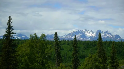 Pan Right, Green Trees, Forest, and Distant Mountains Stock Footage 33528804