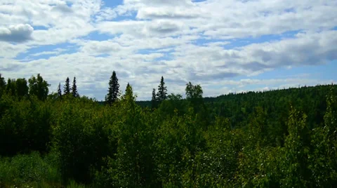Pan Right, Green Trees, Forest, and Distant Mountains Stock Footage 33528944