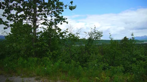Pan Right, Green Trees, Forest, and Mountains Stock Footage 37379314
