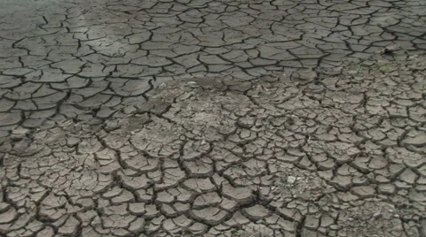 Pan from right to left of cracked ground in a Drought Stock-Footage 40193788