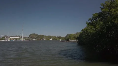 Pan right to left at Maximo Park west side bay looking north in St. Petersburg Stock Footage 254831984