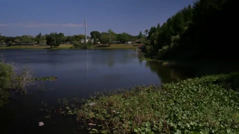 Pan right to left over lake at Booker Creek Park on a  Sunny afternoon in St. Pe Stock Footage 273957418