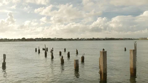 Pan right to left Pelican sitting on a post looking left with multiple old pier Stock Footage 281962796