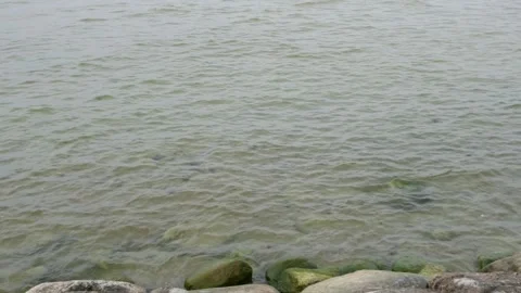 Pan from right to left of slow waves crashing into the shore Stock Footage 279660184