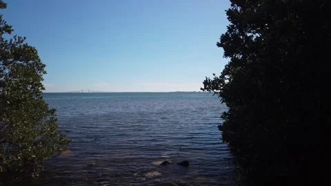 Pan Right to left Wide View from Katherine B. Tippetts Park in St. Petersburg, F Stock Footage 265717203